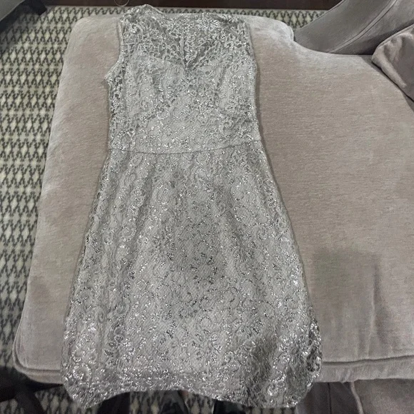 BCBG | Dresses | Bcbg Silver Lace Dress Size 2p | Poshmark